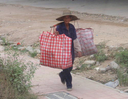 Lady going home from the market.